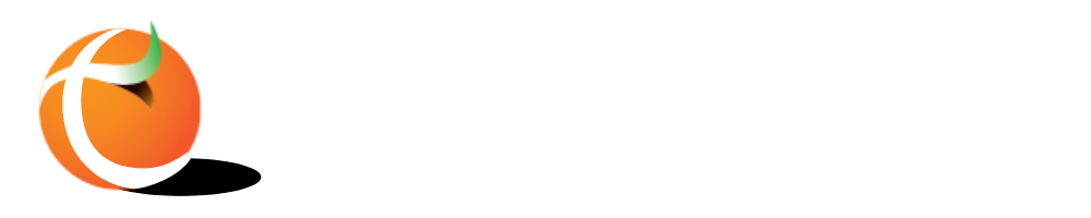 TRANSPIERRE